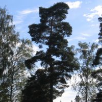 Eindrcke - Sport-Wolter