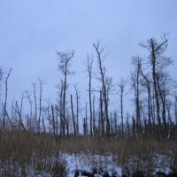 Eindrcke - Sport-Wolter